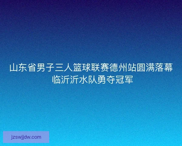 山东省男子三人篮球联赛德州站圆满落幕 临沂沂水队勇夺冠军